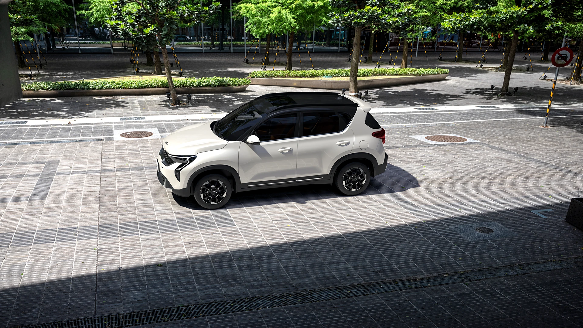 Car View - White with Black Roof