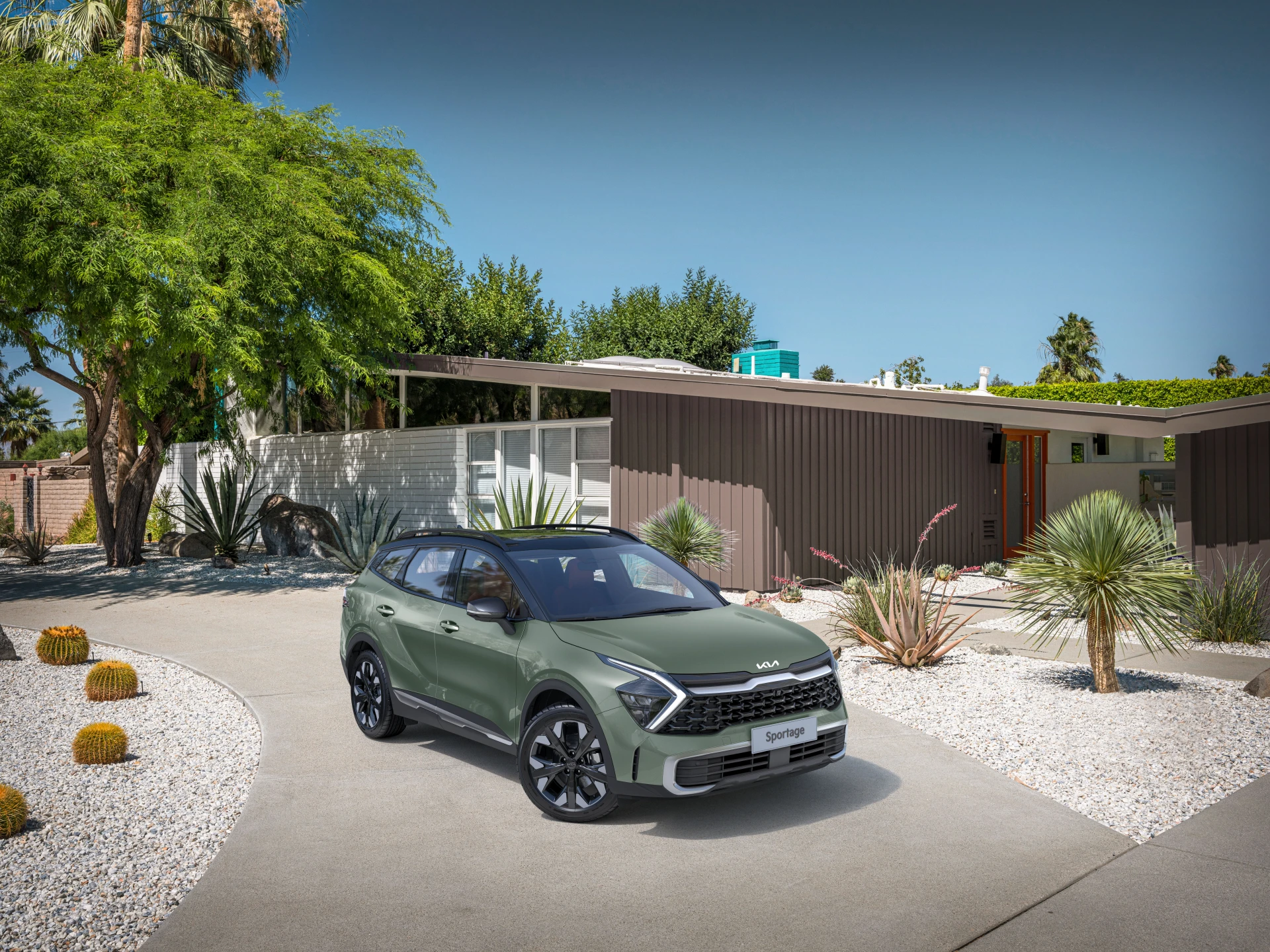 Car View - Jungle Wood Green with Aurora Black Roof