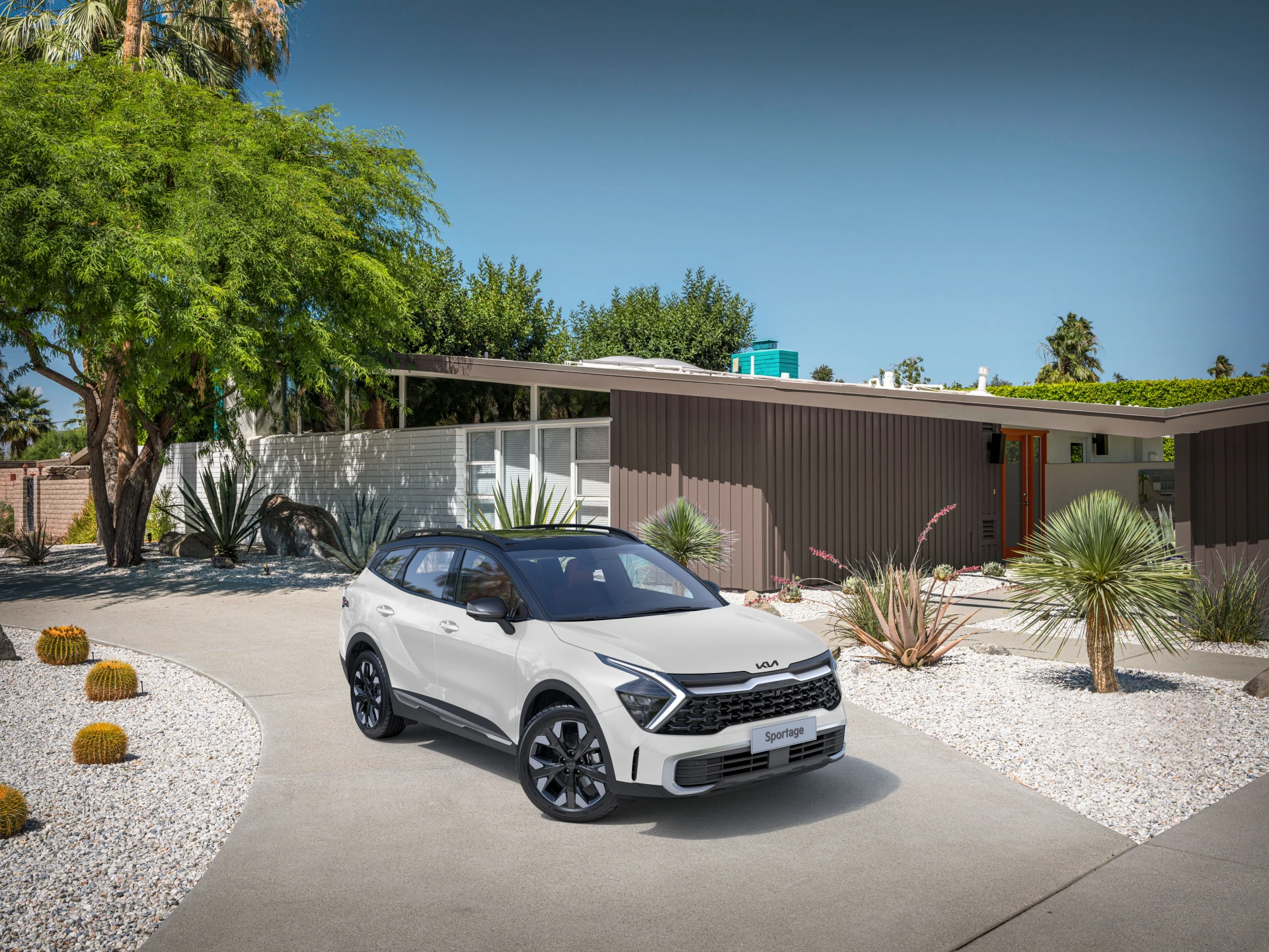 Car View - Snow White Pearl with Aurora Black Roof